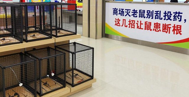 商店老鼠太多怎么办_商场灭老鼠_老鼠灭